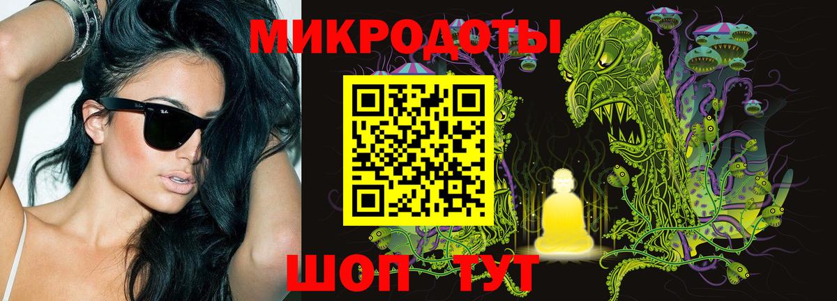 Псилоцибиновые грибы Psilocybe Трёхгорный